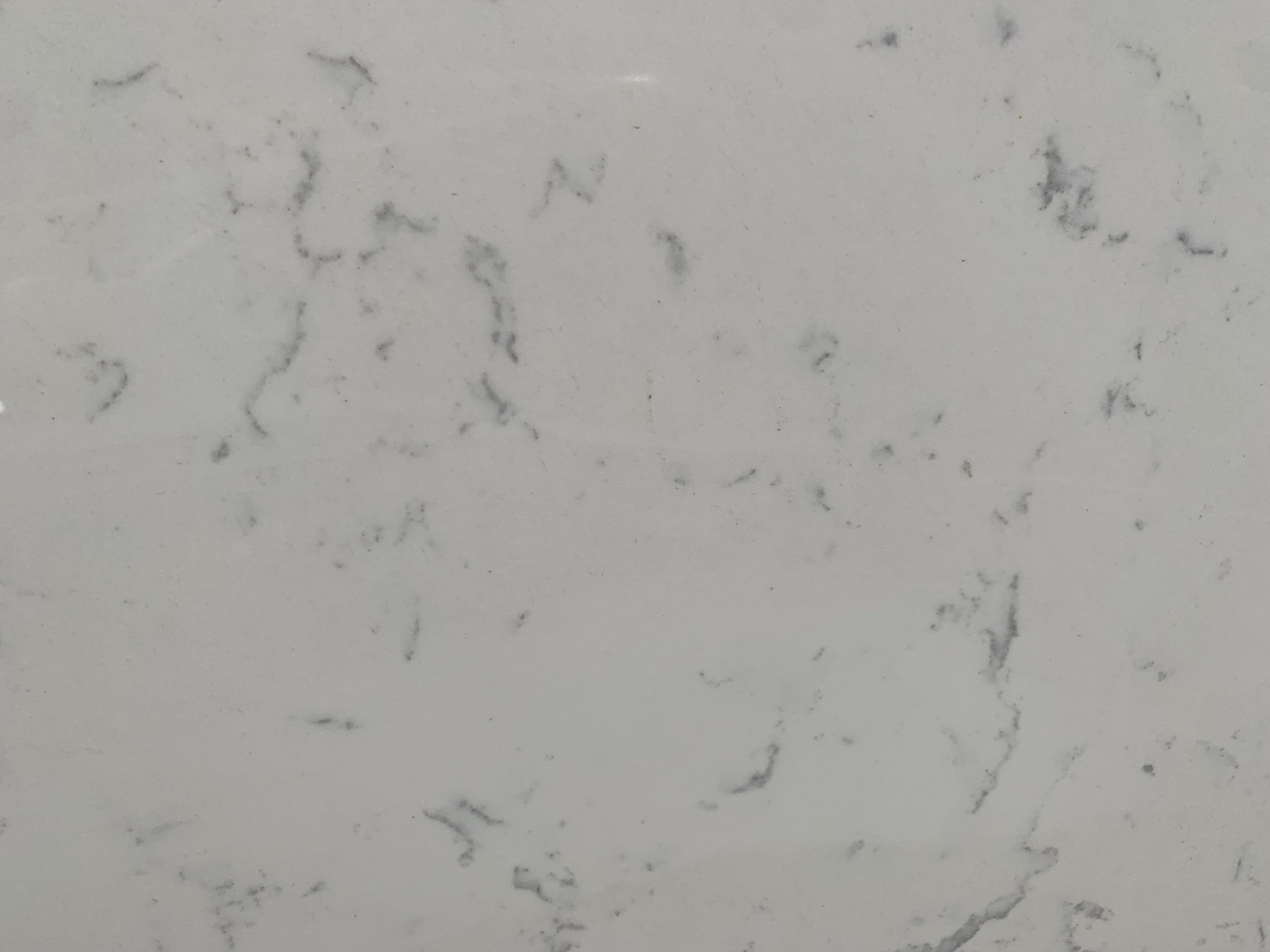 Chashmere Carrara Quartz